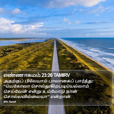 எண்ணாகமம் 23:26 TAMIRV Bible Verse Image