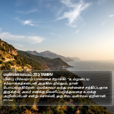 எண்ணாகமம் 23:3 TAMIRV Bible Verse Image