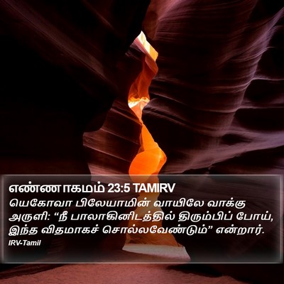 எண்ணாகமம் 23:5 TAMIRV Bible Verse Image