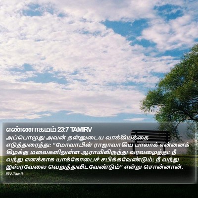 எண்ணாகமம் 23:7 TAMIRV Bible Verse Image