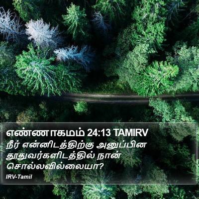 எண்ணாகமம் 24:13 TAMIRV Bible Verse Image