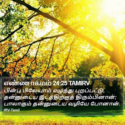 எண்ணாகமம் 24:25 TAMIRV Bible Verse Image