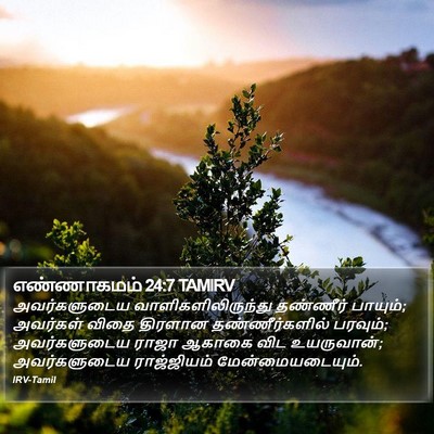 எண்ணாகமம் 24:7 TAMIRV Bible Verse Image