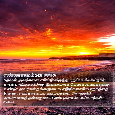 எண்ணாகமம் 24:8 TAMIRV Bible Verse Image
