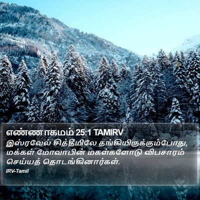 எண்ணாகமம் 25:1 TAMIRV Bible Verse Image