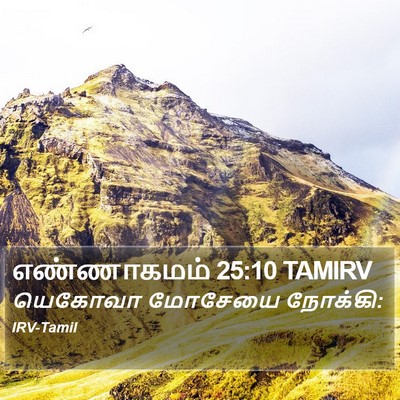 எண்ணாகமம் 25:10 TAMIRV Bible Verse Image