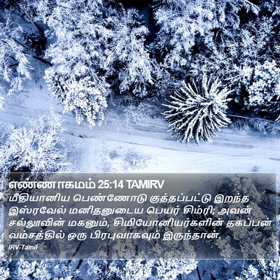 எண்ணாகமம் 25:14 TAMIRV Bible Verse Image