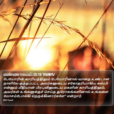எண்ணாகமம் 25:18 TAMIRV Bible Verse Image