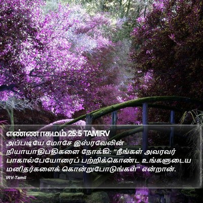 எண்ணாகமம் 25:5 TAMIRV Bible Verse Image