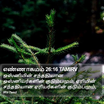 எண்ணாகமம் 26:16 TAMIRV Bible Verse Image