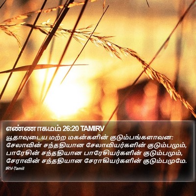 எண்ணாகமம் 26:20 TAMIRV Bible Verse Image