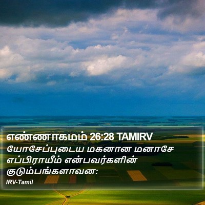 எண்ணாகமம் 26:28 TAMIRV Bible Verse Image