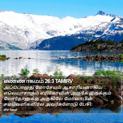 எண்ணாகமம் 26:3 TAMIRV Bible Verse Image
