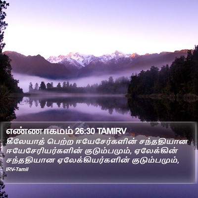 எண்ணாகமம் 26:30 TAMIRV Bible Verse Image