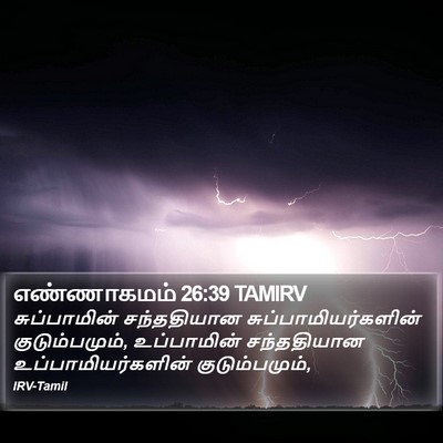 எண்ணாகமம் 26:39 TAMIRV Bible Verse Image