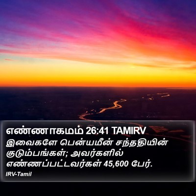 எண்ணாகமம் 26:41 TAMIRV Bible Verse Image