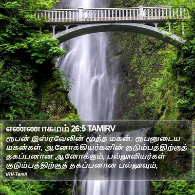 எண்ணாகமம் 26:5 TAMIRV Bible Verse Image