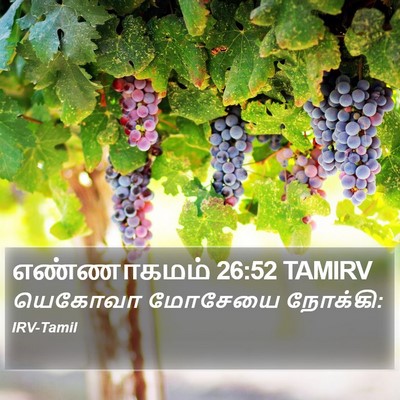 எண்ணாகமம் 26:52 TAMIRV Bible Verse Image