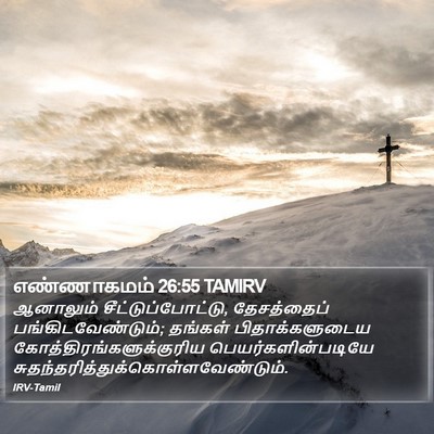 எண்ணாகமம் 26:55 TAMIRV Bible Verse Image