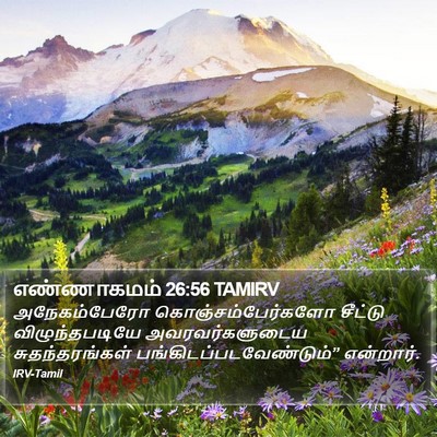 எண்ணாகமம் 26:56 TAMIRV Bible Verse Image