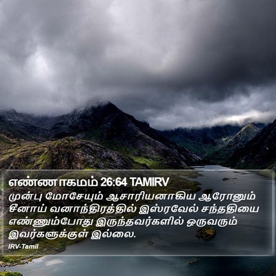 எண்ணாகமம் 26:64 TAMIRV Bible Verse Image