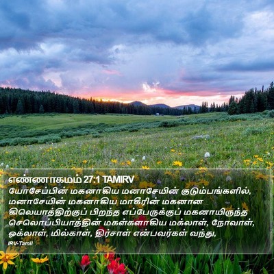 எண்ணாகமம் 27:1 TAMIRV Bible Verse Image