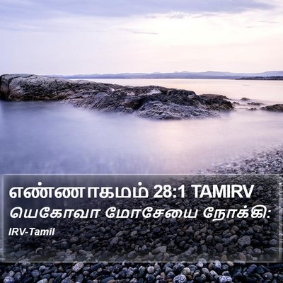எண்ணாகமம் 28:1 TAMIRV Bible Verse Image