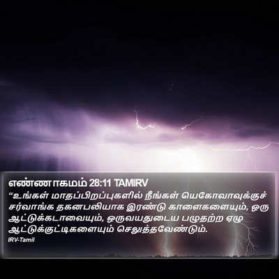 எண்ணாகமம் 28:11 TAMIRV Bible Verse Image