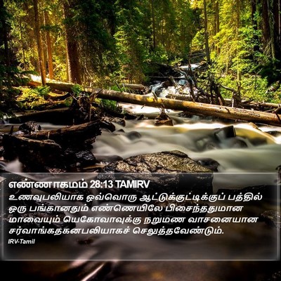 எண்ணாகமம் 28:13 TAMIRV Bible Verse Image