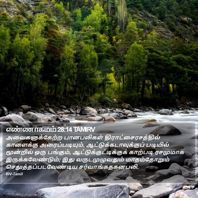 எண்ணாகமம் 28:14 TAMIRV Bible Verse Image