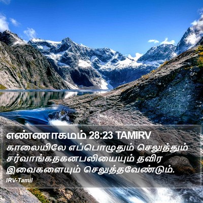 எண்ணாகமம் 28:23 TAMIRV Bible Verse Image