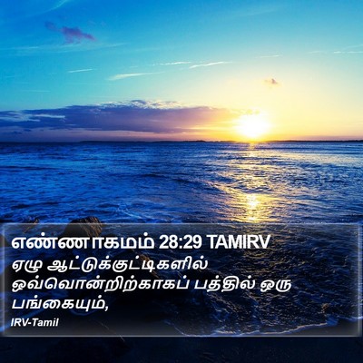 எண்ணாகமம் 28:29 TAMIRV Bible Verse Image