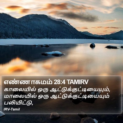 எண்ணாகமம் 28:4 TAMIRV Bible Verse Image