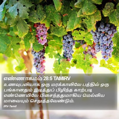 எண்ணாகமம் 28:5 TAMIRV Bible Verse Image