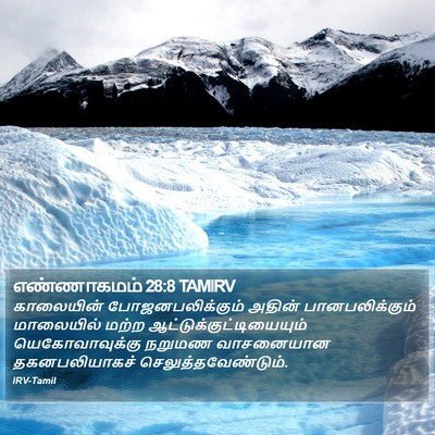 எண்ணாகமம் 28:8 TAMIRV Bible Verse Image