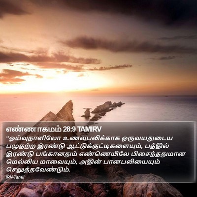 எண்ணாகமம் 28:9 TAMIRV Bible Verse Image