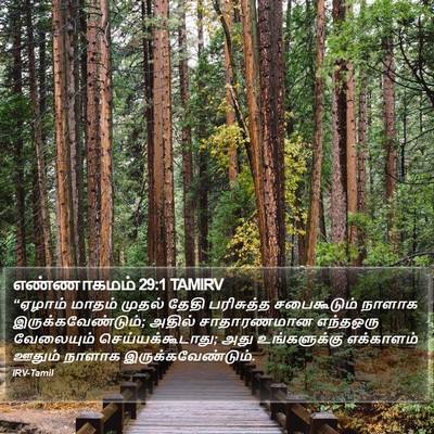 எண்ணாகமம் 29:1 TAMIRV Bible Verse Image