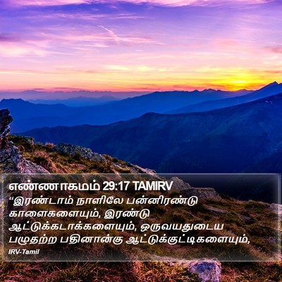 எண்ணாகமம் 29:17 TAMIRV Bible Verse Image