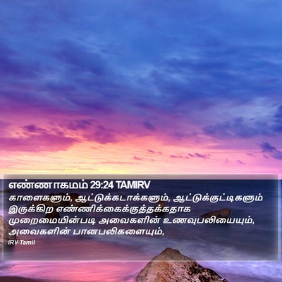 எண்ணாகமம் 29:24 TAMIRV Bible Verse Image