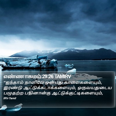 எண்ணாகமம் 29:26 TAMIRV Bible Verse Image