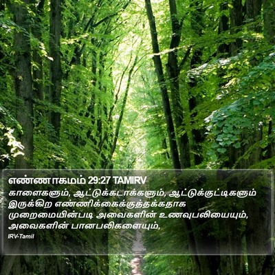 எண்ணாகமம் 29:27 TAMIRV Bible Verse Image