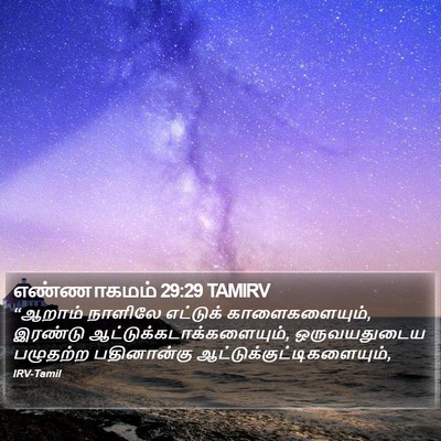எண்ணாகமம் 29:29 TAMIRV Bible Verse Image