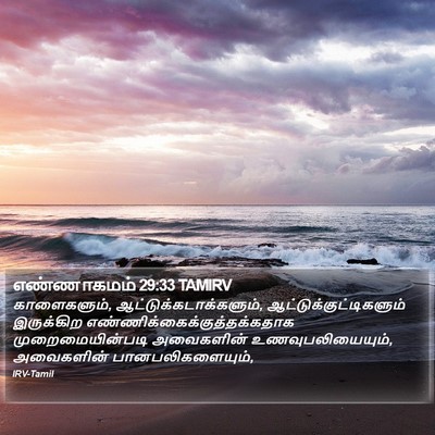 எண்ணாகமம் 29:33 TAMIRV Bible Verse Image
