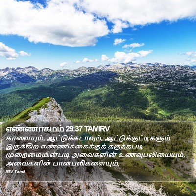 எண்ணாகமம் 29:37 TAMIRV Bible Verse Image