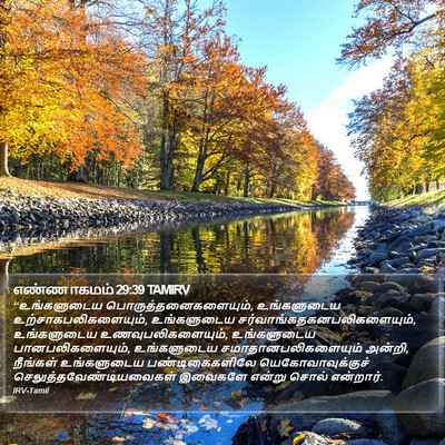 எண்ணாகமம் 29:39 TAMIRV Bible Verse Image