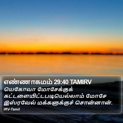 எண்ணாகமம் 29:40 TAMIRV Bible Verse Image