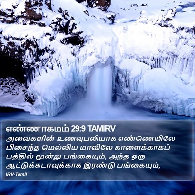 எண்ணாகமம் 29:9 TAMIRV Bible Verse Image