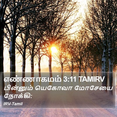 எண்ணாகமம் 3:11 TAMIRV Bible Verse Image
