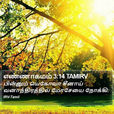 எண்ணாகமம் 3:14 TAMIRV Bible Verse Image