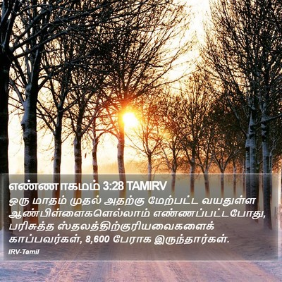 எண்ணாகமம் 3:28 TAMIRV Bible Verse Image